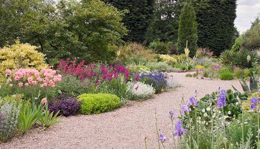 Flower and Gardening